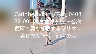 Caribbeancom 加勒比 040822-001 涼宮女郎蜘蛛 ～公衆便所で男を捕獲するヤリマン美女の大作戦～涼宮のん