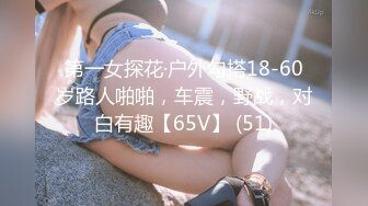 第一女探花·户外勾搭18-60岁路人啪啪，车震，野战，对白有趣【65V】 (51)