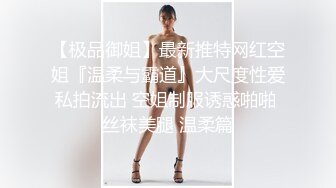 社长夫人NTR～公司和妻子都被夺走了