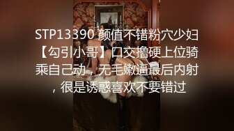 后入96小骚逼