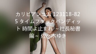 カリビアンコム 123118-825 タイムファックバンディット 時間よ止まれ ～社長秘書編～ 佐々木ゆき