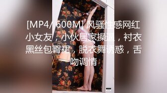 把公司的会计人妻熟女草了