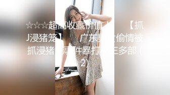 路边公厕一路跟踪偷拍极品美女的小嫩鲍