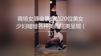 商场女厕全景偷拍20位美女少妇嘘嘘各种美鲍完美呈现 (1)