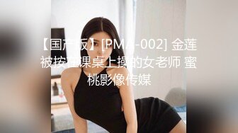 国产AV 蜜桃影像传媒 PMX051 放学后的女老师 白星雨