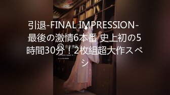 引退-FINAL IMPRESSION- 最後の激情6本番 史上初の5時間30分！2枚組超大作スペシ