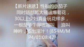 国产麻豆AV 无套系列 MM051 机器人女友 吴梦梦