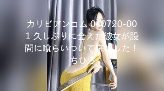 カリビアンコム 040720-001 久しぶりに会えた彼女が股間に喰らいついて来ました！ ちひろ