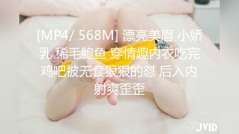 最喜欢的人妻，空姐7