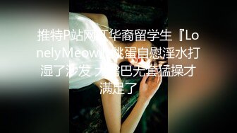 295-漂亮女友 录个小视频自己看的 被发现了一顿猛操