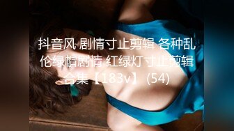 P站⭐ HouseBitchy ⭐视频合集，国产收割机推荐 —— P站第十三弹【123V】 (46)