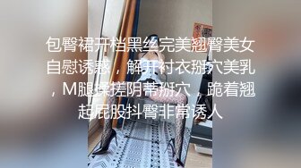 模特骚母狗第三弹