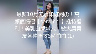 最新10月无水印订阅①！高颜值情侣【sora_ch_】推特福利！美乳白虎嫩穴，被大屌男友各种调教SM啪啪 (1)