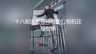 十八般武艺各种姿势打桩机狂操女神