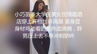 性感丝袜