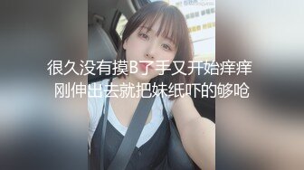 TWTP 大神潜入商场女厕全景偷拍多位美女嘘嘘第五季2