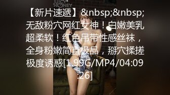 极品啊 都是本钱 晚上被人骑 白天开大G MonaSM Club Art Bondage[87P/261M]