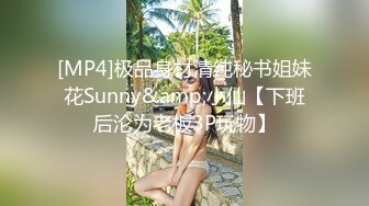 [MP4]极品身材清纯秘书姐妹花Sunny&amp;小仙【下班后沦为老板3P玩物】