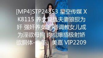 91四驅兄弟 爆艹風騷新婚女房東(VIP)