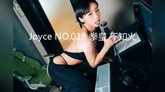 Joyce NO.018 拳皇 不知火舞