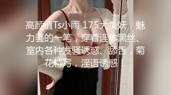 女同事的黑丝小野猫确实诱惑