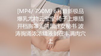 SONE-424 畢業前夕遇到巨乳小姐姐讓我爽插幹成炮友還...(AI破壞版)