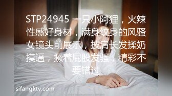 STP24945 一只小阿狸，火辣性感好身材，满身纹身的风骚女镜头前展示，披肩长发揉奶摸逼，撅着屁股发骚，精彩不要错过