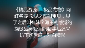 《精品资源❤️极品尤物》网红名媛 没见之前叫宝贝，见了之后叫妹妹？海王的感觉约操极品高颜值御姐 事后还采访下炮后感，对白精彩