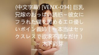 (中文字幕) [VENX-094] 巨乳兄嫁のおっぱい誘惑～彼女にフラれた僕を慰めるエロ優しいボイン義姉（←本当はセックスレスで欲求不満なだけ）～ 木下彩芽